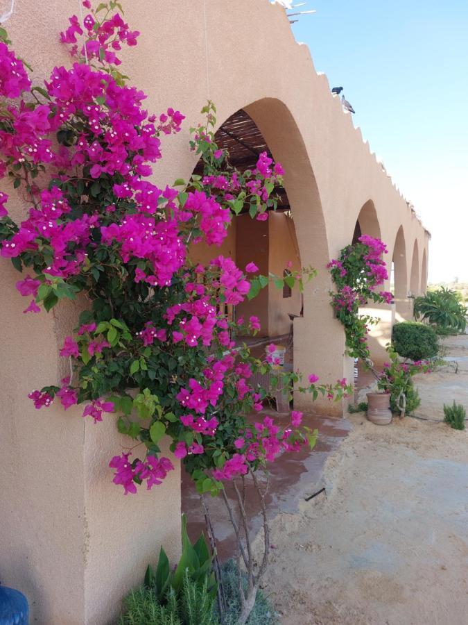 فندق Hayaat Siwa Hot Spring Siwa Oasis المظهر الخارجي الصورة