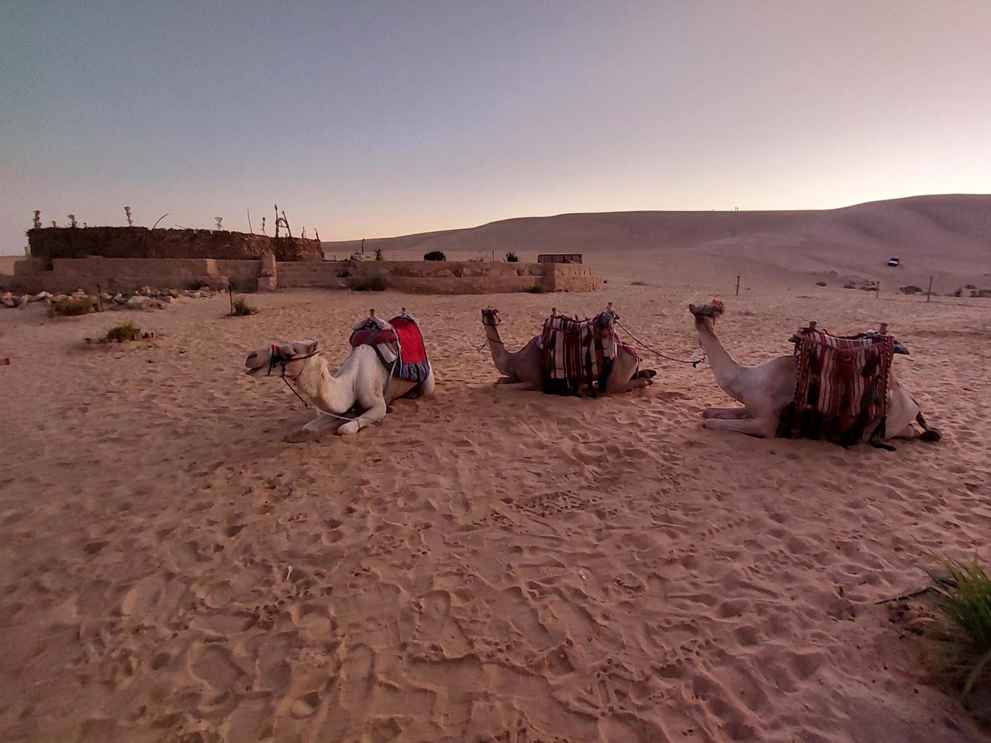 فندق Hayaat Siwa Hot Spring Siwa Oasis المظهر الخارجي الصورة